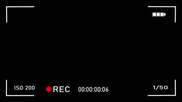 Nakładka Ekranu Rejestrującego Kamerę Kanałem Alfa Wizjer Ramki Kamery Dslr — Wideo stockowe
