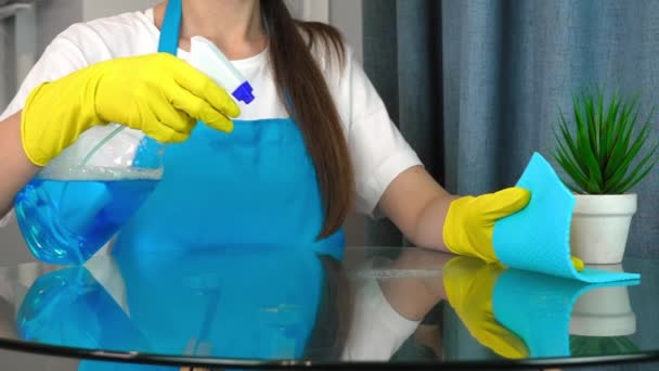 Servicio Limpieza Personal Con Equipo Profesional Limpieza Casa Privada Higiene — Vídeo de stock