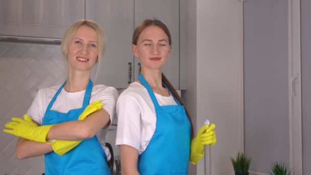 Professionele Team Van Geüniformeerde Schoonmakers Werken Moderne Loft Appartement Portret — Stockvideo