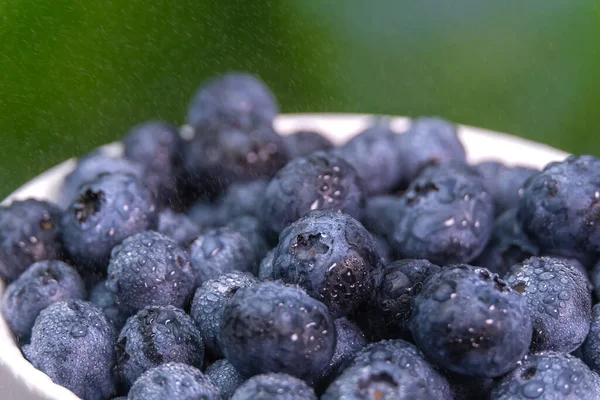 Fotografi Makro Dari Antioksidan Segar Blueberry Alami Dalam Mangkuk Putih — Stok Foto