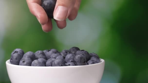 女人的手从盘子里取出并放上成熟的浆果和满满一盘多汁的蓝莓 女人的手从盘子里取出蓝莓 在花园的背景绿色背景下 — 图库视频影像