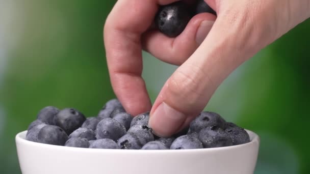 女人的手从盘子里取出并放上成熟的浆果和满满一盘多汁的蓝莓 女人的手从盘子里取出蓝莓 在花园的背景绿色背景下 — 图库视频影像