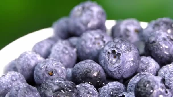 蓝莓或蓝莓 白色圆盘 绿色背景 素食主义者和素食主义者的概念 夏日健康饮食 野生Yidi野生浆果 — 图库视频影像