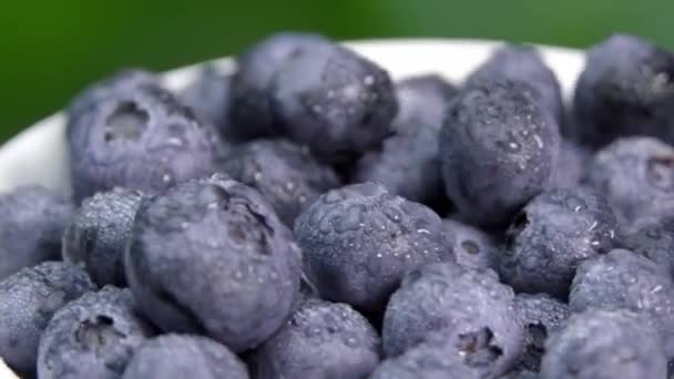 蓝莓或蓝莓 白色圆盘 绿色背景 素食主义者和素食主义者的概念 夏日健康饮食 野生Yidi野生浆果 — 图库视频影像