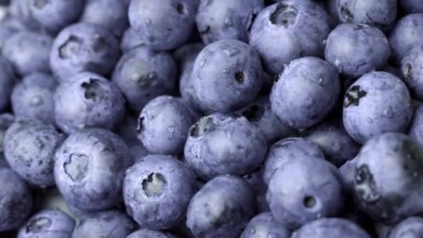 成熟的蓝莓上的水滴 新鲜蓝莓或鸽子转盘 素食主义者和素食主义者的概念 蓝莓的宏观质感蓝莓的特写纹理 — 图库视频影像