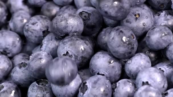 成熟的蓝莓上的水滴 新鲜蓝莓或鸽子转盘 素食主义者和素食主义者的概念 蓝莓的宏观质感蓝莓的特写纹理 — 图库视频影像