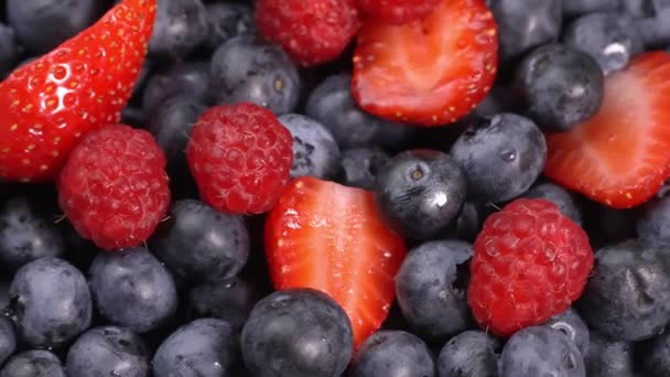 覆盆子和草莓在它们的轴上旋转着 多汁的浆果混合着新鲜的夏天浆果的芬芳 红黑健康 浆果配料 — 图库视频影像