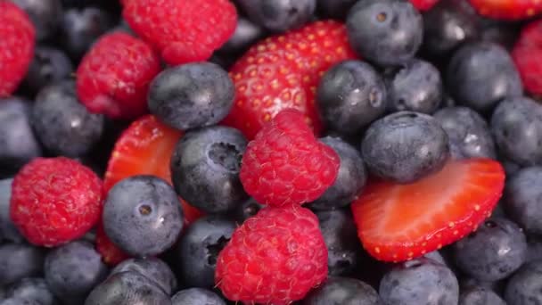 覆盆子和草莓在它们的轴上旋转着 森林果实 多汁的浆果顶视图 混合着新鲜的夏天浆果的芬芳 红色和黑色的浆果 健康的生活方式 — 图库视频影像