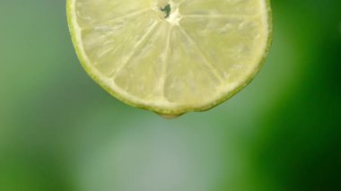 Olgun kireç diliminden yakın plan meyve suyu ya da su damlası. Taze sebze ve meyve kavramı. Yeşil arka planda makro suyu damlayan limon. Özürlü hareket