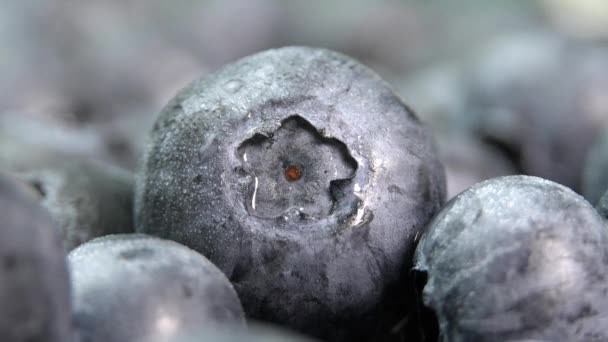 飞溅的水滴 水以慢动作落在蓝莓上 水滴从高处落在灰色的森林浆果上 水滴和飞溅分散在不同的方向 — 图库视频影像