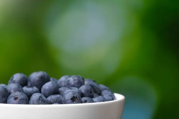 Close White Bowl Blueberries Blurry Green Background Copy Space Macro — Stock Photo, Image