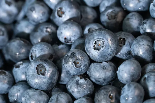 Background Fresh Blueberries Macro — Stock Photo, Image