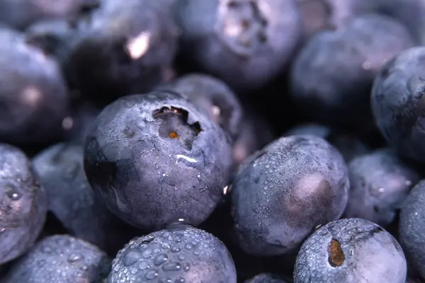 Fotografi Makro Latar Belakang Blueberry Besar Dengan Tetesan Air Tekstur — Stok Foto