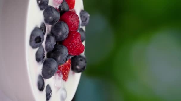自然や庭の緑の背景にベリー付きの白ヨーグルトのセラミックボウル ミルクアイスクリーム 熟したブルーベリー ラズベリー イチゴ 健康的な朝食 健康的な食事 ベジタリアンビーガンフード — ストック動画