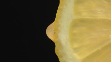 Olgun limondan bir damla meyve suyu ya da yakın plan su. Taze sebze ve meyve kavramı. Yeşil arka planda su damlatan makroyla limon. Ağır çekim. Dikey video
