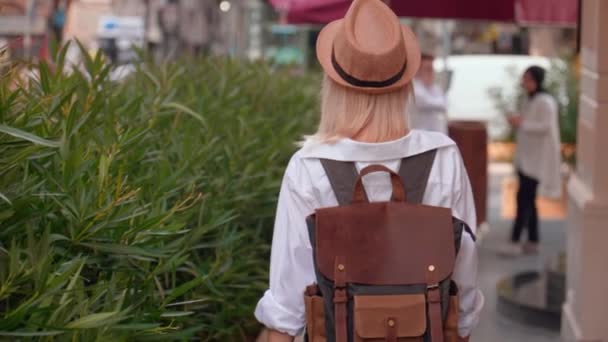 Назад Вид Блондинки Туристичної Жінки Білій Сорочці Рюкзаку Зламаному Капелюсі — стокове відео