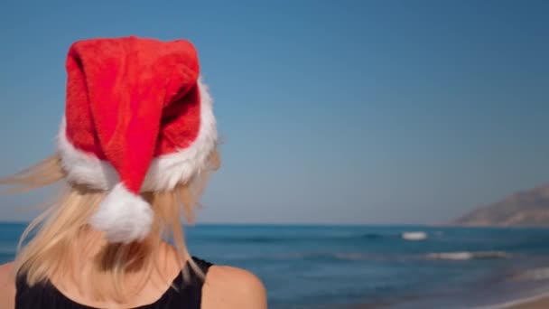 クリスマスの休日のビーチで女性のバックビュー 楽しい休暇 ビキニの女性 自由を楽しみます 旅行パラダイス休暇 メリークリスマスハットサンタクロース — ストック動画