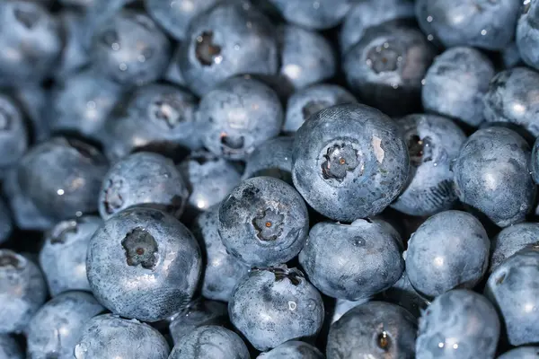 Background Fresh Blueberries Macro — Stock Photo, Image