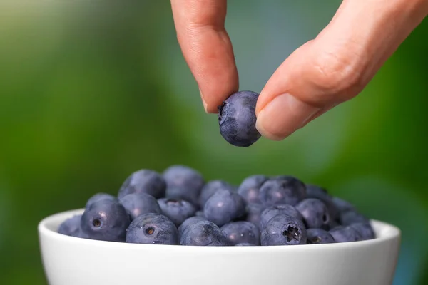 Bulanık yeşil arka planda, olgun bir yaban mersinini beyaz bir kaseden çıkaran kadın parmaklarının yakın çekimi, makro fotoğraf.