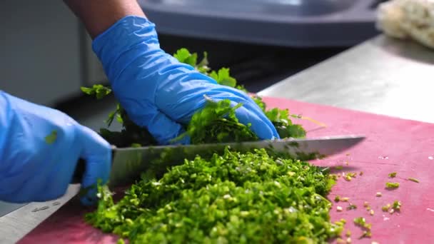 Cutting Fresh Herbs Ceramic Knife Wooden Board Cooking Fresh Herbs — Stock Video