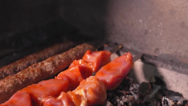 Detailní Záběr Chutného Kebabu Nebo Shashliku Čerstvého Masa Lula Kebabu — Stock video