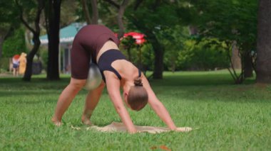 Jimnastik hocası, kedi-inek yoga pozisyonunun çeşitlemesini gösteriyor. Spor topu kullanarak, yemyeşil parktaki minderde.