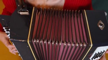 Kırmızı kazaklı genç bayan müzisyen son derece etkileyici taklit heyecanıyla akordeon çalıyor, profesyonel teknikle melodi çalarken müzik tutkusunu yakalıyor..