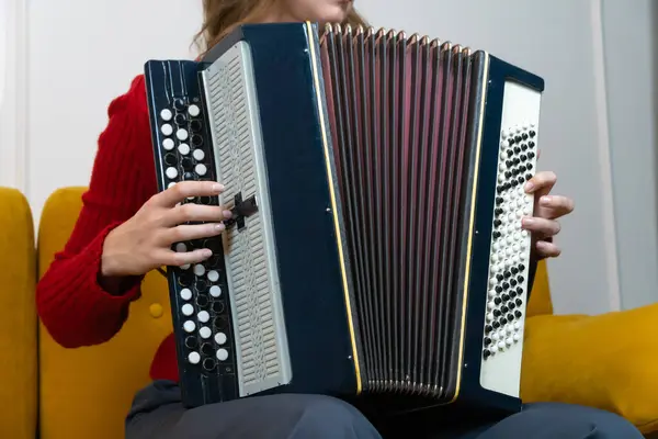 Büyük siyah-beyaz bir Rus bayan akordeon çalan kadın müzisyen, oturma odasındaki sarı bir kanepede oturuyor, geleneksel halk enstrümanlarıyla müzik yapıyor.