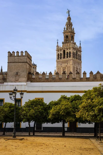 Patio de Banderas, Murallas del Alcazar ile tarihi plaza ve La Giralda kulesi ile katedral manzaralı. Sevilla, Endülüs, İspanya.