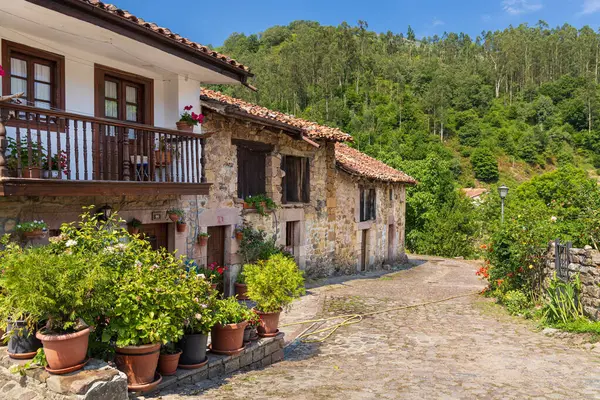 Carmona 'nın küçük bir kasabasının caddesi. Balkonları ve çiçekleri olan taştan yapılmış geleneksel eski dağ köşkleri. Carmona, Cantabria, İspanya.