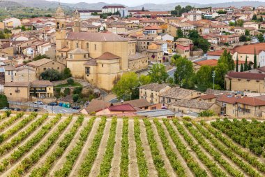 Elciego kasabasının ve etrafındaki üzüm bağlarının genel bir görüntüsü. Elciego, Alava ili, Bask ülkesi, İspanya.