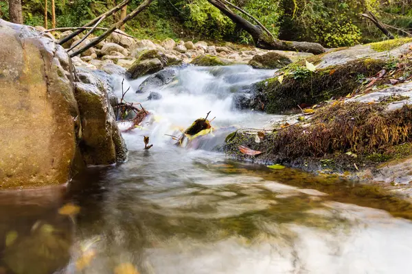 Argoza Nehri 'nde, yosun kaplı kayalarla çevrili küçük bir şelale. Saja Besaya Doğal Parkı. Barcena Belediye Başkanı, Cantabria, İspanya.
