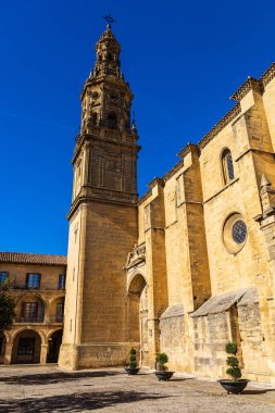 Varsayımın Majestic Kilisesi, Rönesans tarzında 16. yüzyıl inşaatı Katolik hükümdarlarının tarzıyla ve Barok kulesiyle harmanlandı. Briones, La Rioja, İspanya.