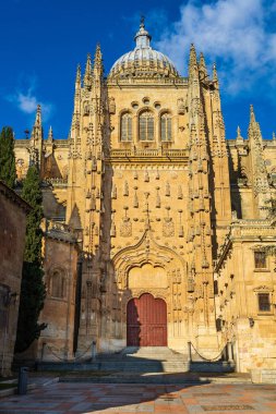 Plateresk güney cephesi, kule ve Yeni Salamanca Katedrali 'nin (Meryem Ana' nın Varsayımı Katedrali) kubbesi. Salamanca, Kastilya ve Leon, İspanya.