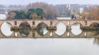 Taş Köprü (ayrıca Yeni Zamora Köprüsü veya Puente de Piedra olarak da bilinir) Duero Nehri 'ni geçerek nehrin yansımasını oluşturur. Bulutlu. Zamora, Kastilya ve Leon, İspanya.
