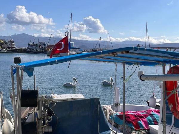 Pélicans Nagent Vue Sur Port Mer Méditerranée — Photo