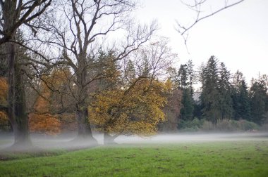 Çekçe Park Pruhonice