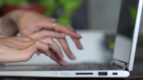 Klavyede Genç Bir Profesyonelin Zarif Elleri Bir Dizüstü Bilgisayarı Kullan — Stok video