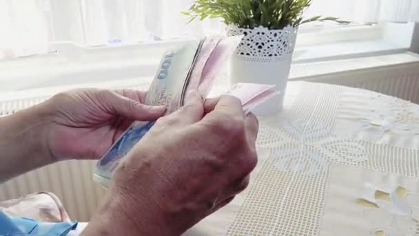 Old Woman Person Counting Turkish Banknotes — Stockvideo
