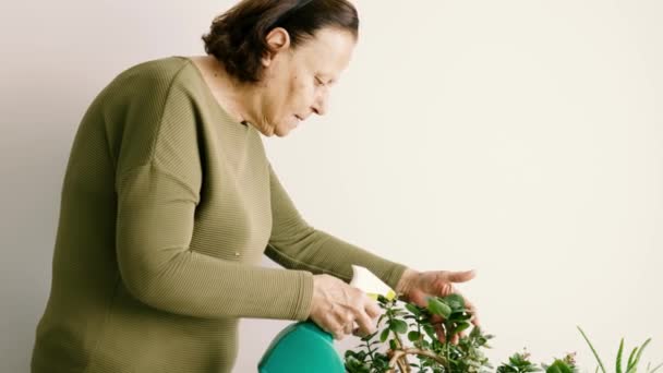 Mulheres Seniores Regar Flores Sênior Mulher Regando Flores — Vídeo de Stock