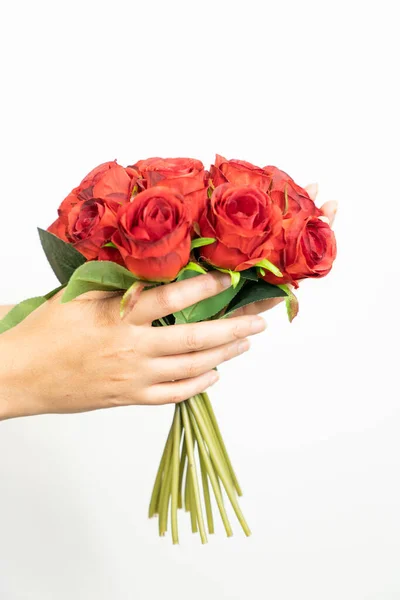 stock image Cropped Image Of Hand Holding Red Roses Against White Background