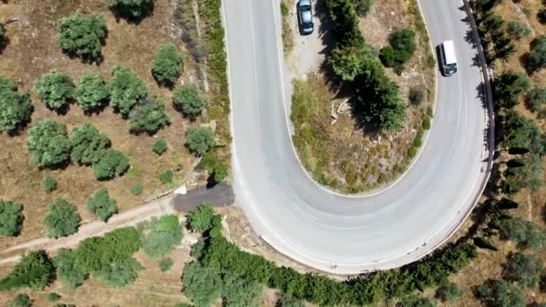 Kręta Droga Idylliczna Kręta Droga Przez Las Pogląd Arialny — Wideo stockowe