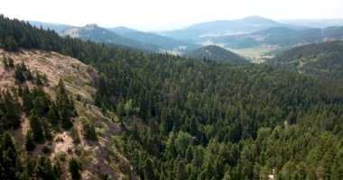 Çimlerle ve ormanlarla kaplı bir dağ platosunun tepe yüzeyi, insansız hava aracı manzarası.