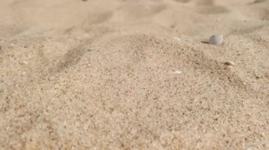 Kumsaldaki kum tepelerine düşen kum taneleri. Yavaş çekim.