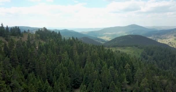 Çimlerle Ormanlarla Kaplı Bir Dağ Platosunun Tepe Yüzeyi Insansız Hava — Stok video