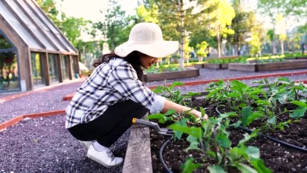 在有机农场的花园里耕作的年轻妇女 — 图库视频影像