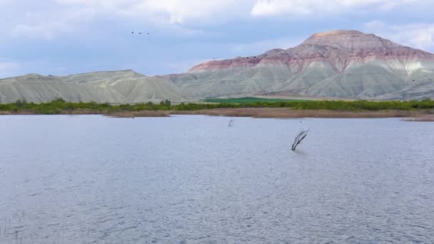Widok Nallihan Cayirhan Raj Ptaków Pobliżu Ankary Anatolijskiej Turcji — Wideo stockowe