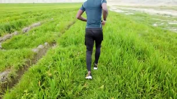 陽射しの森を走る男性ランナー — ストック動画