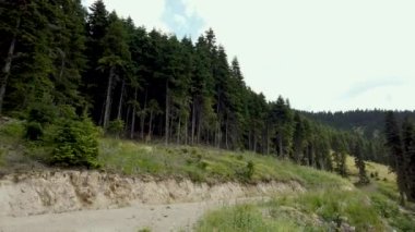 Gökyüzüne Karşı Sakin Dağların Hava Görüntüsü Ormandaki Ağaçların Üzerinden Uçan İnsansız Hava Aracı