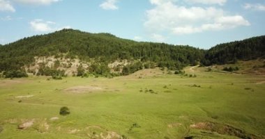 Gökyüzüne Karşı Sakin Dağların Hava Görüntüsü Ormandaki Ağaçların Üzerinden Uçan İnsansız Hava Aracı